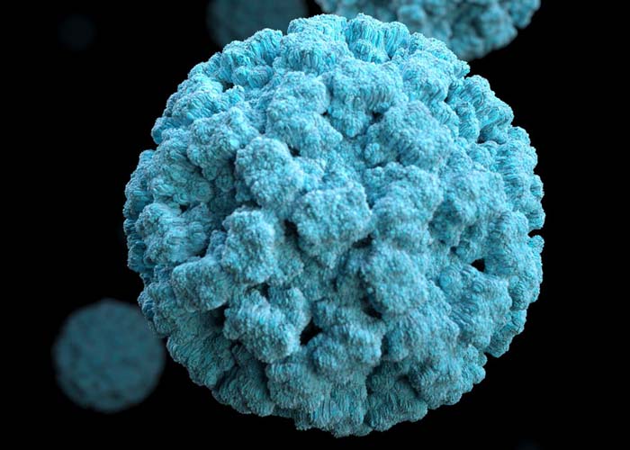 v-2 Caribbean Princess norovirus outbreak